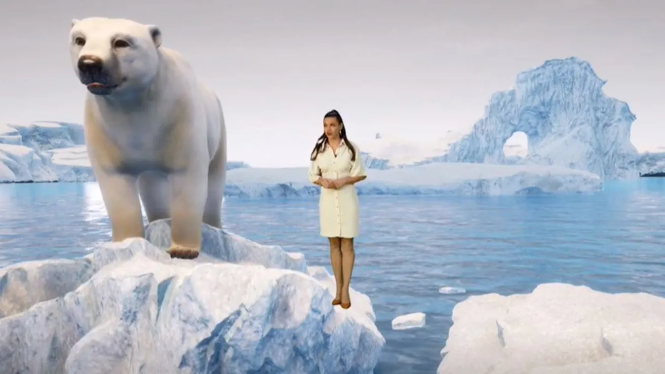 Olvadó jégtáblán egyensúlyozó jegesmedve Molnár Csilla „műsorvezetőtársa”