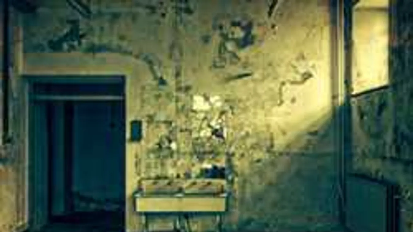 Csecsemőgyilkosság Zichyújfalun: döbbenet, mit tett utána az anya