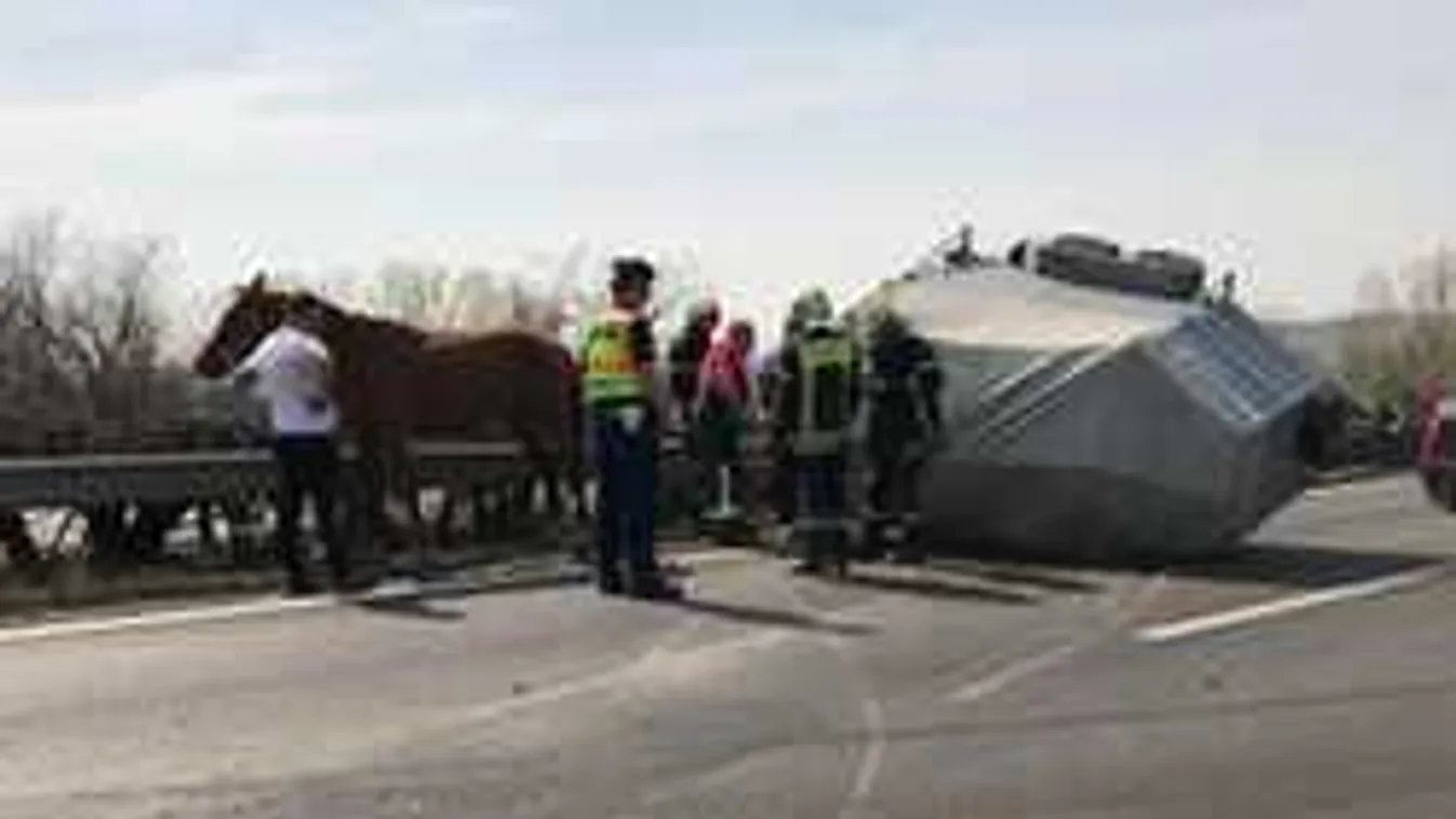 Most kaptuk: Szirénázva rohantak az M1-eshez, felborult egy lószállító