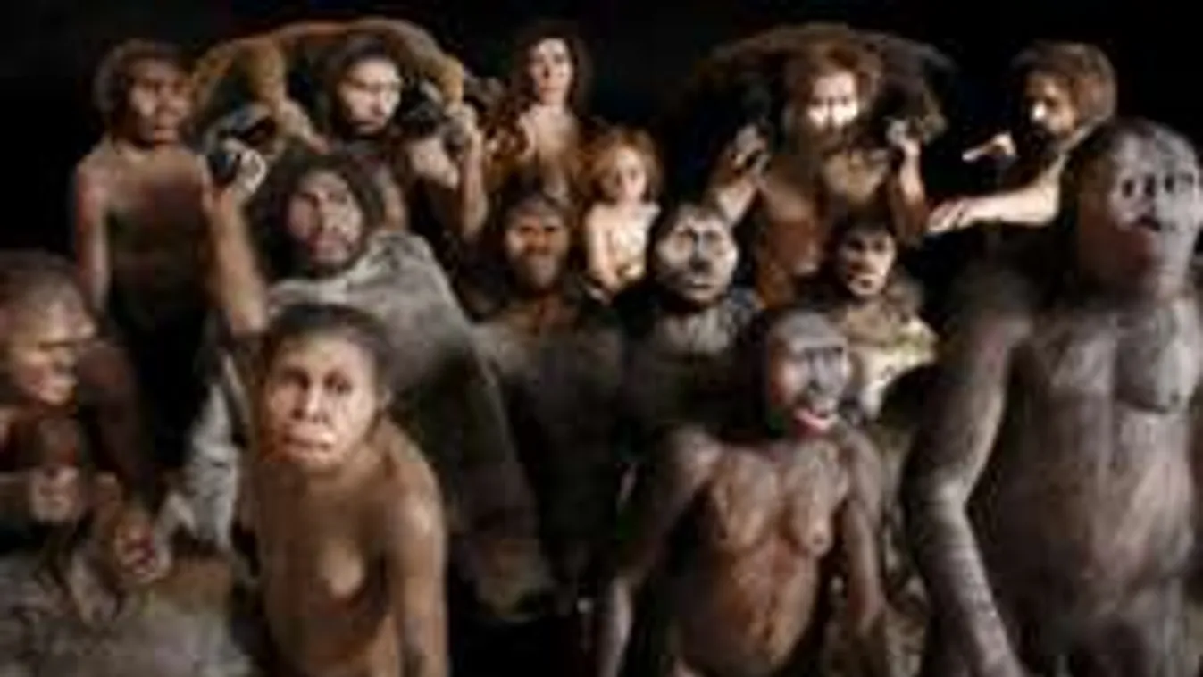 Swingerezés az őskorban! Rabolta az ősember a neandervölgyi nőket