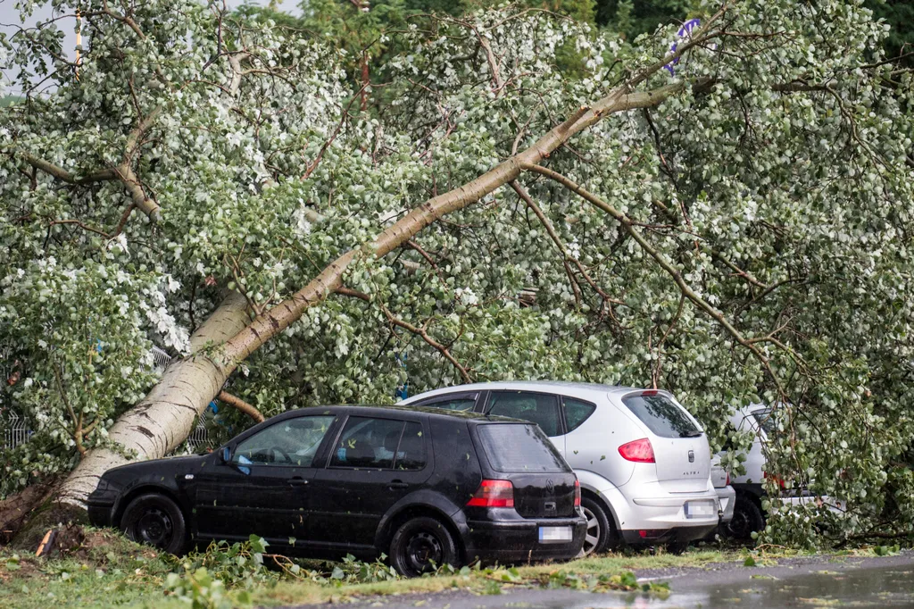 Vihar  Károk Bócsán