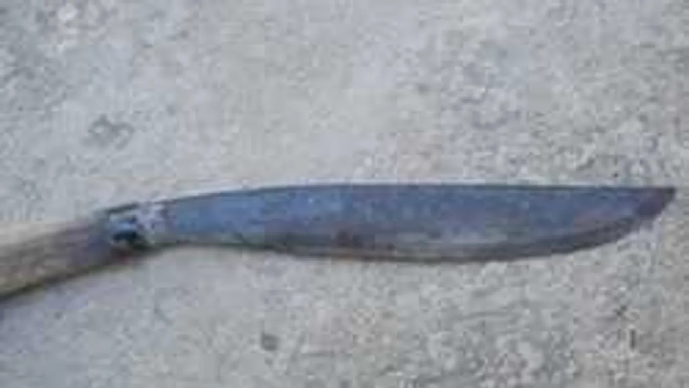 Horror a faluban: Machetével kaszabolta Emmát és Máriát egy férfi