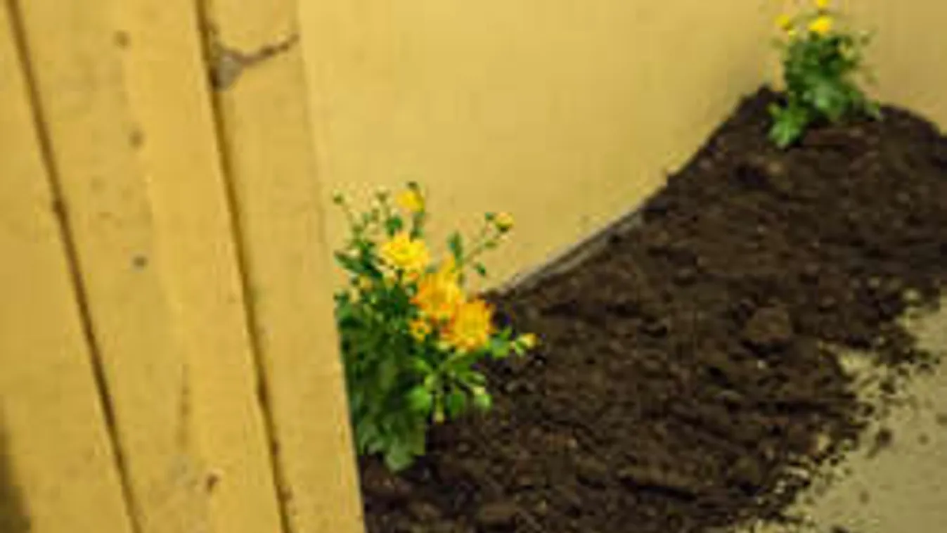 Visszatért a pisirém: így üzentek neki a kétségbeesett pesti lakók!