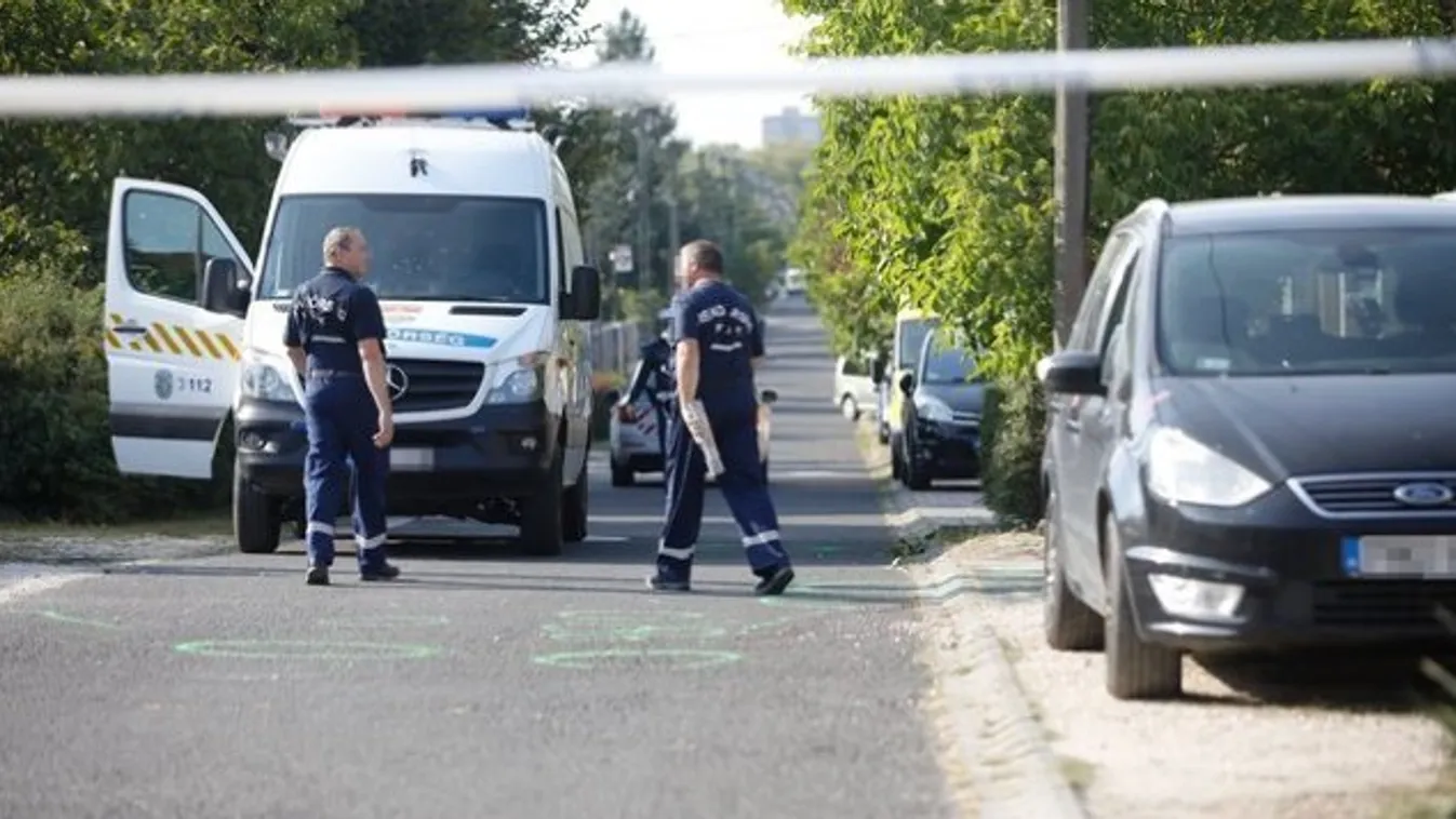 Dunakeszi családirtás: így néz ki most a tragédia helyszíne – Fotó
