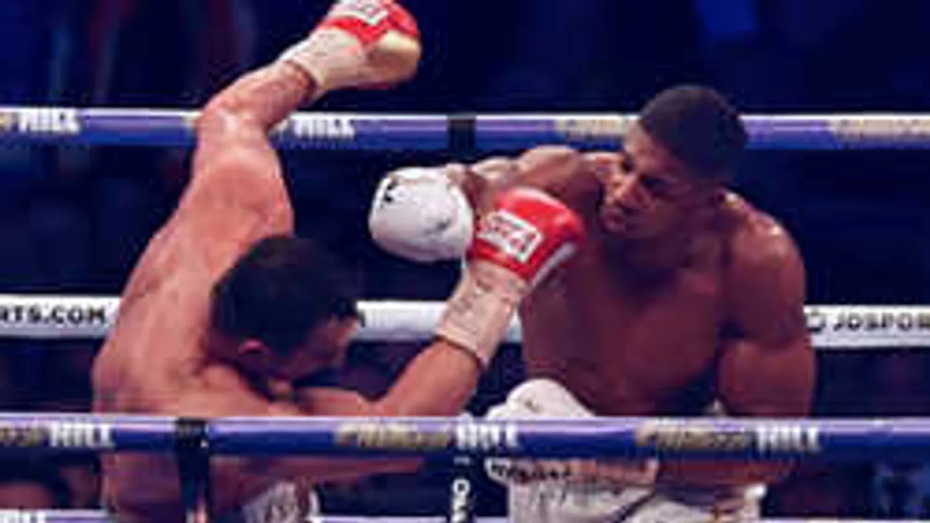 Kiütötte Klicskót a KO-király, dráma a ringben