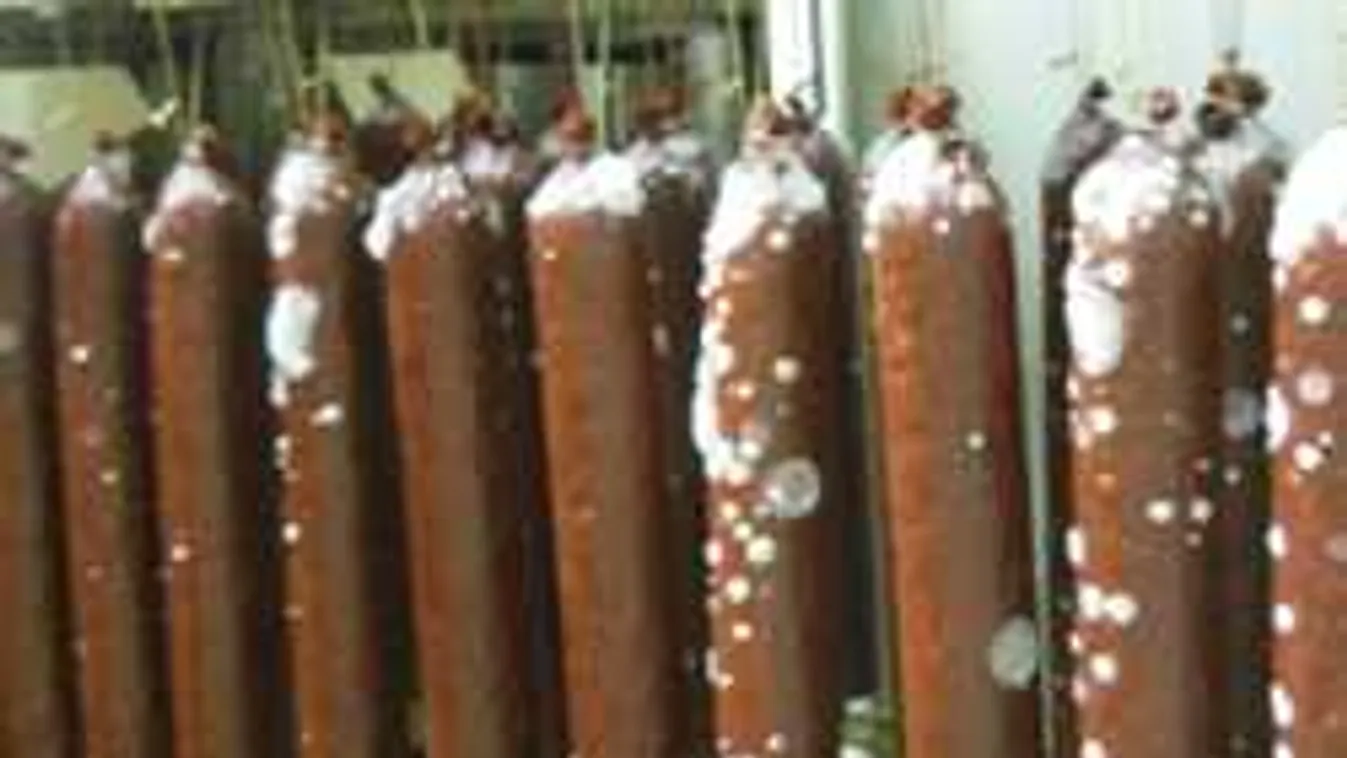 Majdnem három tonna penészes húst vontak ki itthon a forgalomból