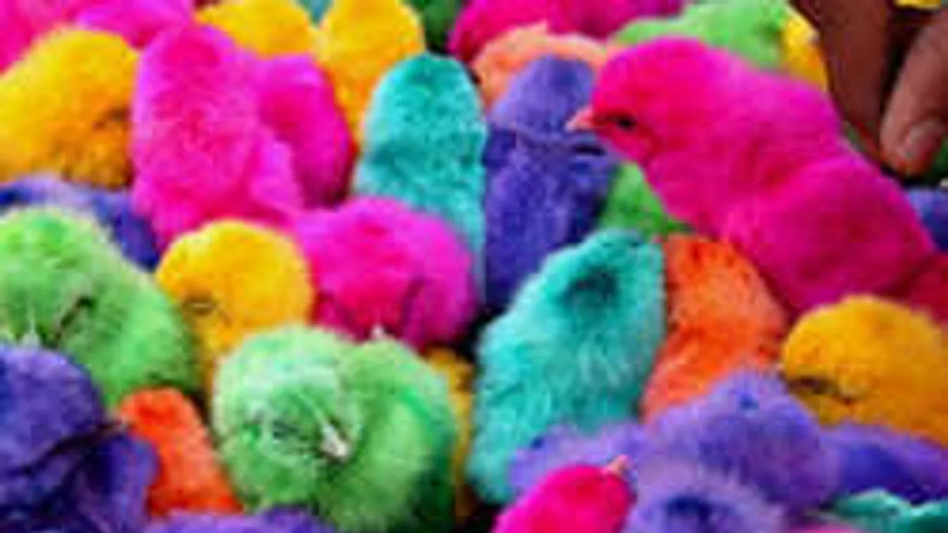 Kiverte a biztosítékot a legújabb húsvéti divatdili: milliók háborodtak fel!