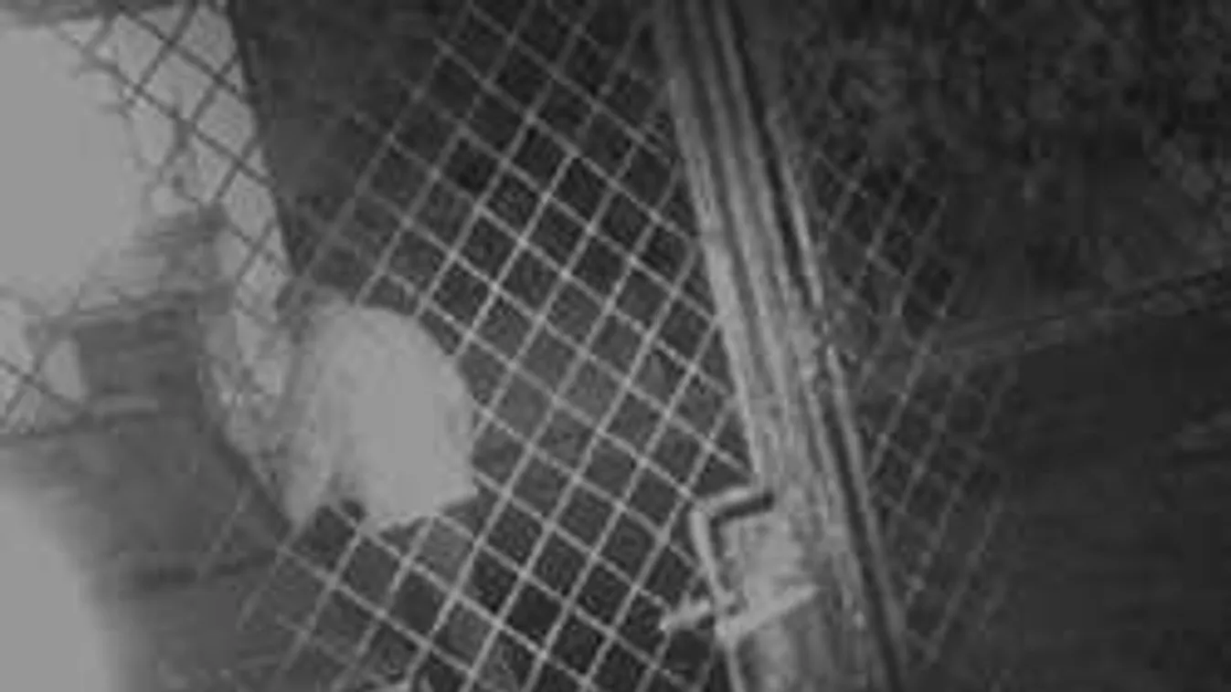 200 ezer forint üti a markodat, ha felismered ezt az embert