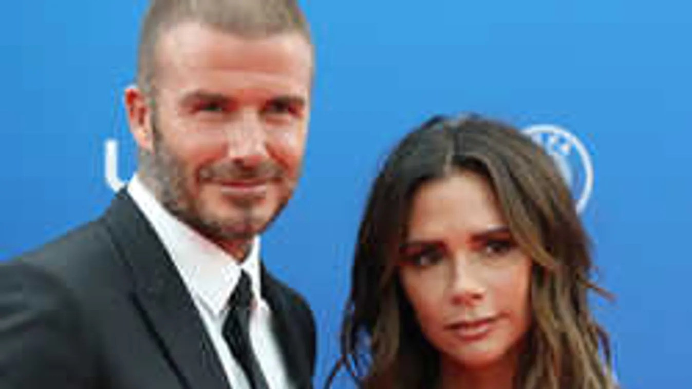 Nem spórolnak: közel 2 millió forintos pléddel takargatják a kutyát Beckhamék