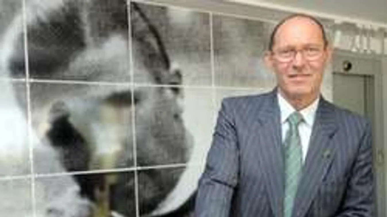 Karrierje tragédiájáról vallott a legendás magyar kapus