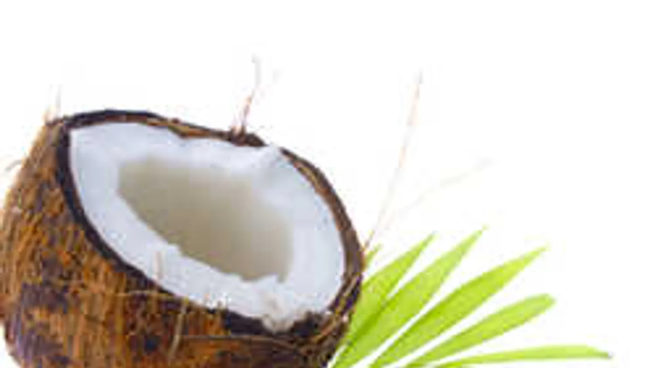 Kókuszozás: a legbizarrabb szex, amiről valaha hallottál