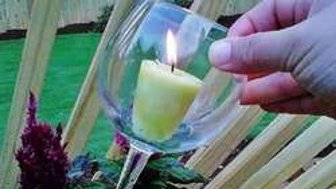 Ezért tegyél borospoharat a növényeid közé