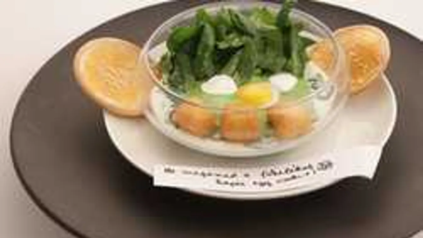 Lehetetlen feladatban győzött Wolf András csapata