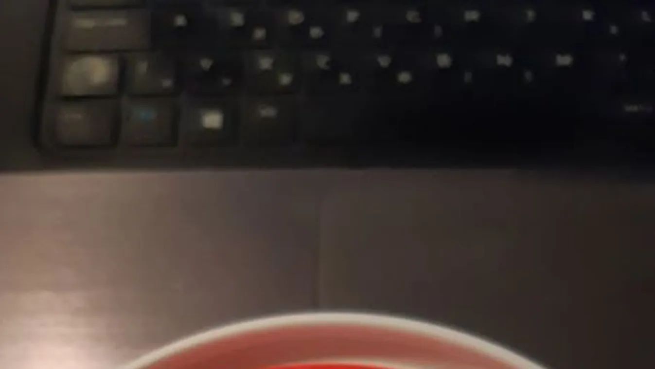 Csirkepaprikást vagy tejfölt rejt a doboz? Zseniális trükkel oldják meg minden magyar problémáját – Fotó