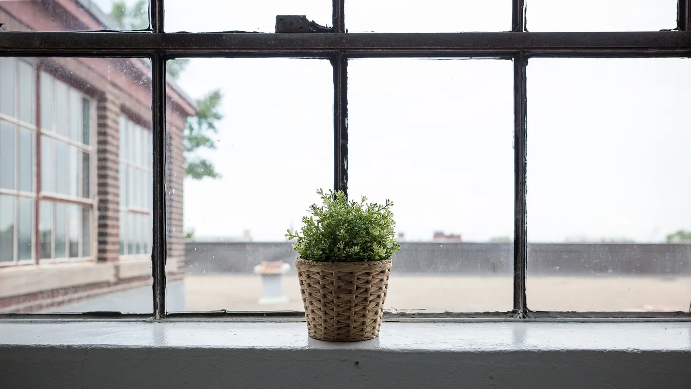 Végre kisüthet a nap, ilyen időjárásra számíthatunk a héten