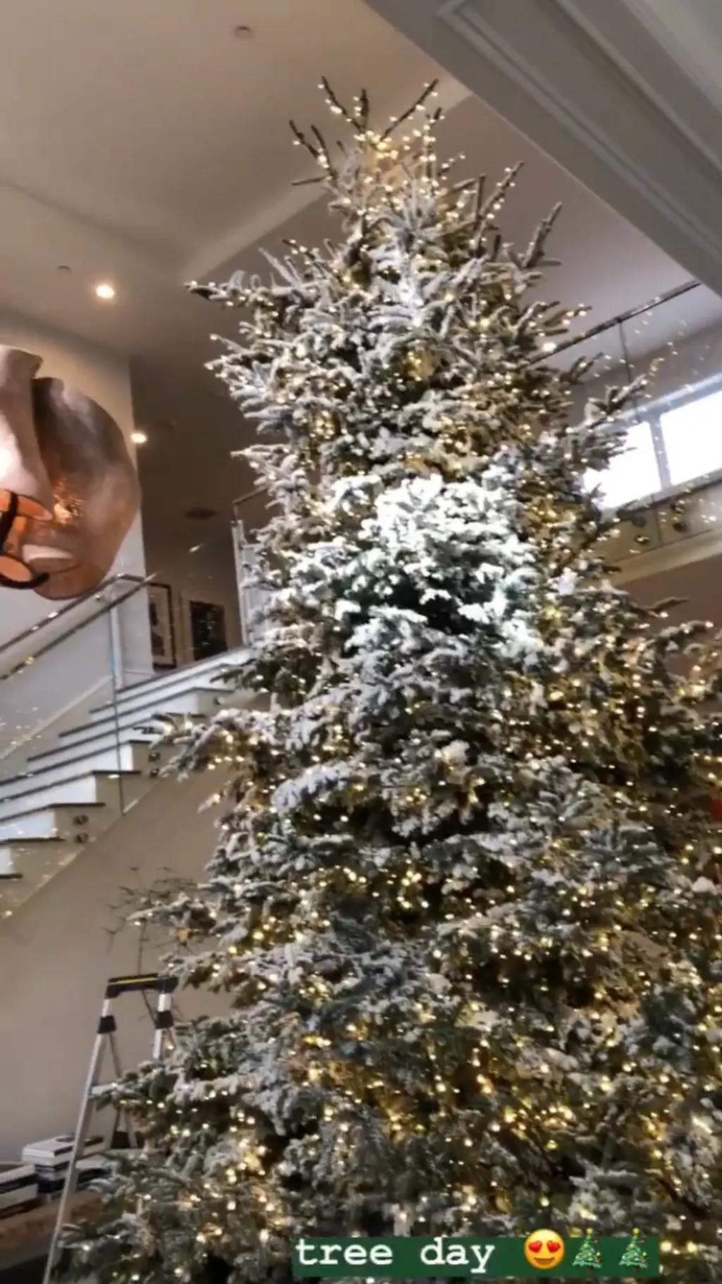 0F3E5775-C678-48D4-BFC3-F1DE4F3D056A