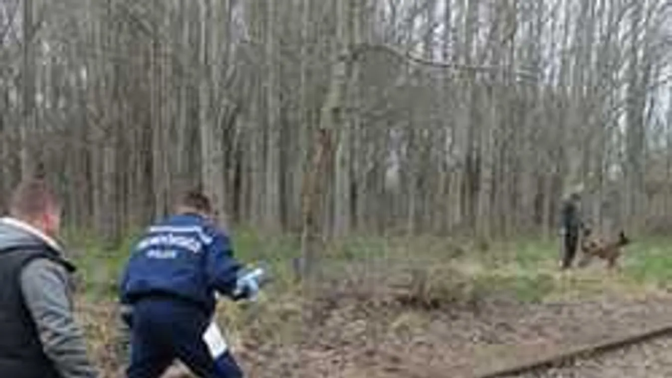 Brutális részletek: így csonkította meg áldozatát a nyíregyházi gyilkos