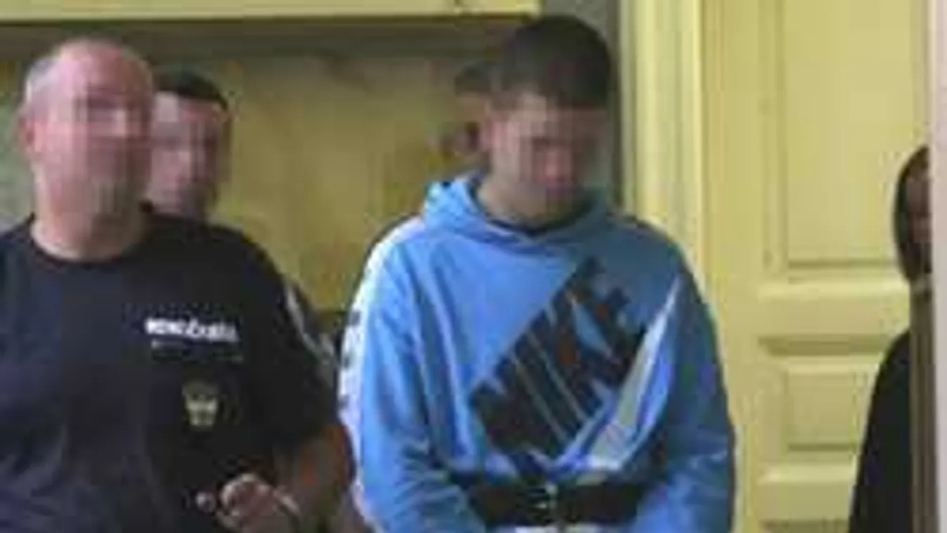 Borzalmas fordulat: állatokat is kínzott a borsodnádasdi tinilány gyilkosa