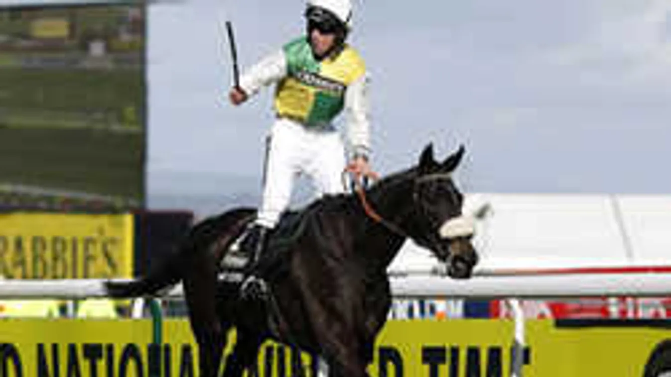 Szörnyű tragédiával végződött a lóverseny, sokkot kaptak a nézők