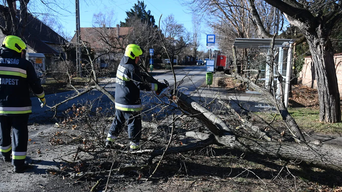 Lakhatatlanná vált házak, autókra dőlt fák: szörnyű pusztításokat okozott a vasárnapi vihar