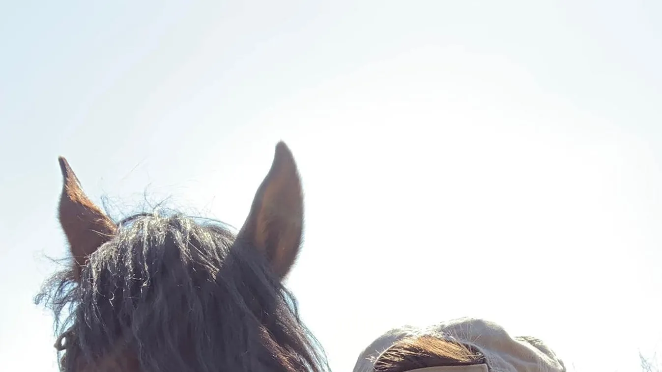 Elképesztő, mit csináltak a Magyar Nemzeti Cirkusz művészei a porondon