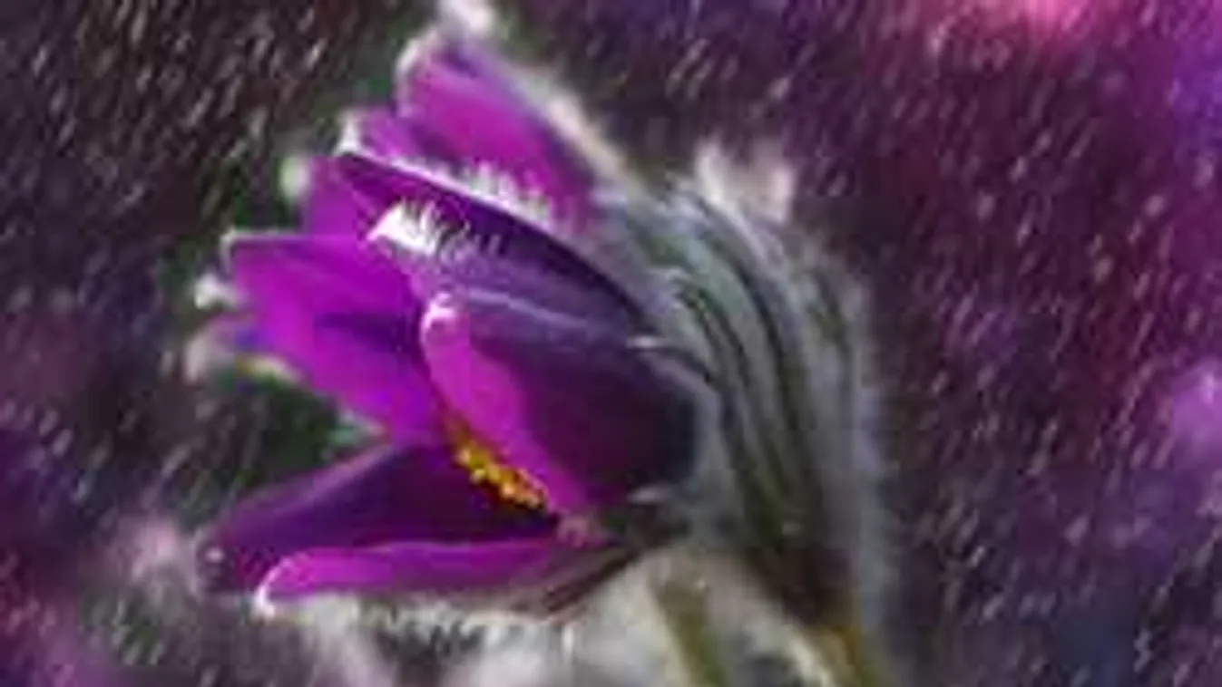 Rendkívüli időt hoz a vasárnap, erre készülj