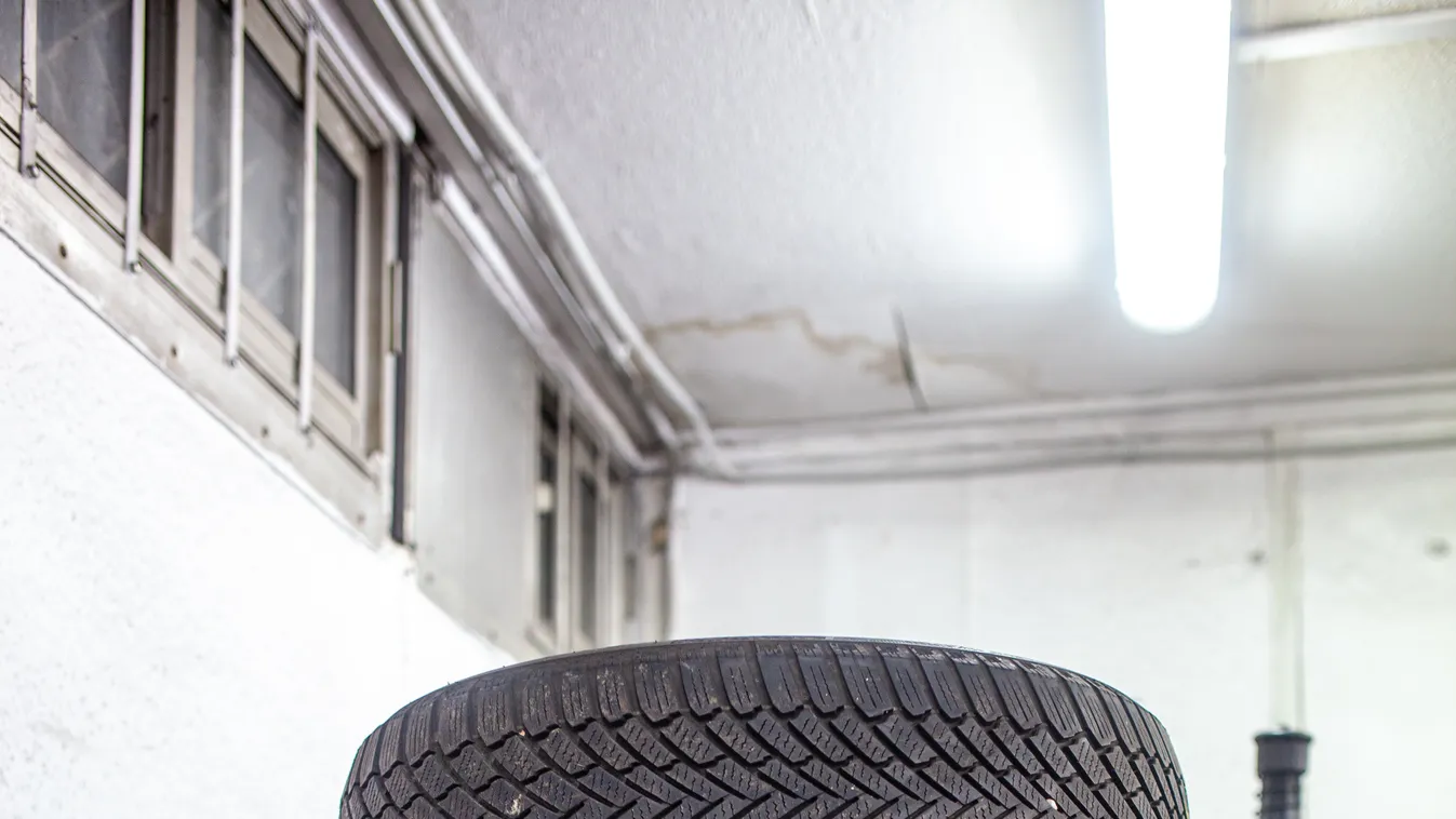 Téligumi: kijött az első teszt, ami segíthet dönteni