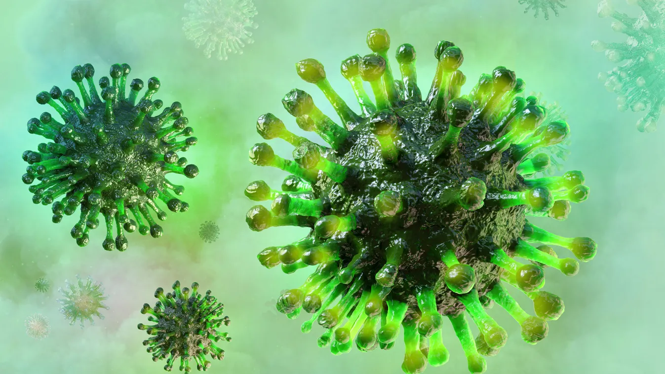 Koronavírus: elindult a kormányzati honlap