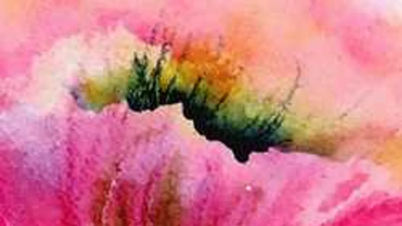 Ha megmondod, milyen színű ez a kép, evolúciós csoda vagy