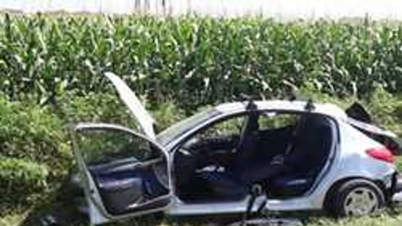 Balesetet okozott az anya, nem kaphat ennél súlyosabb ítéletet