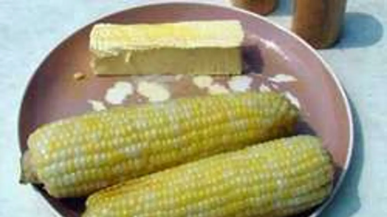 A tökéletes főtt kukorica titka! Felejtsd el a sót!