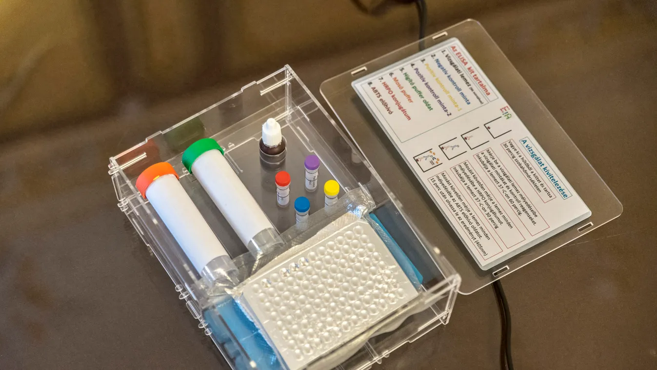 Újabb részletek az eddigi legpontosabb koronavírustesztről