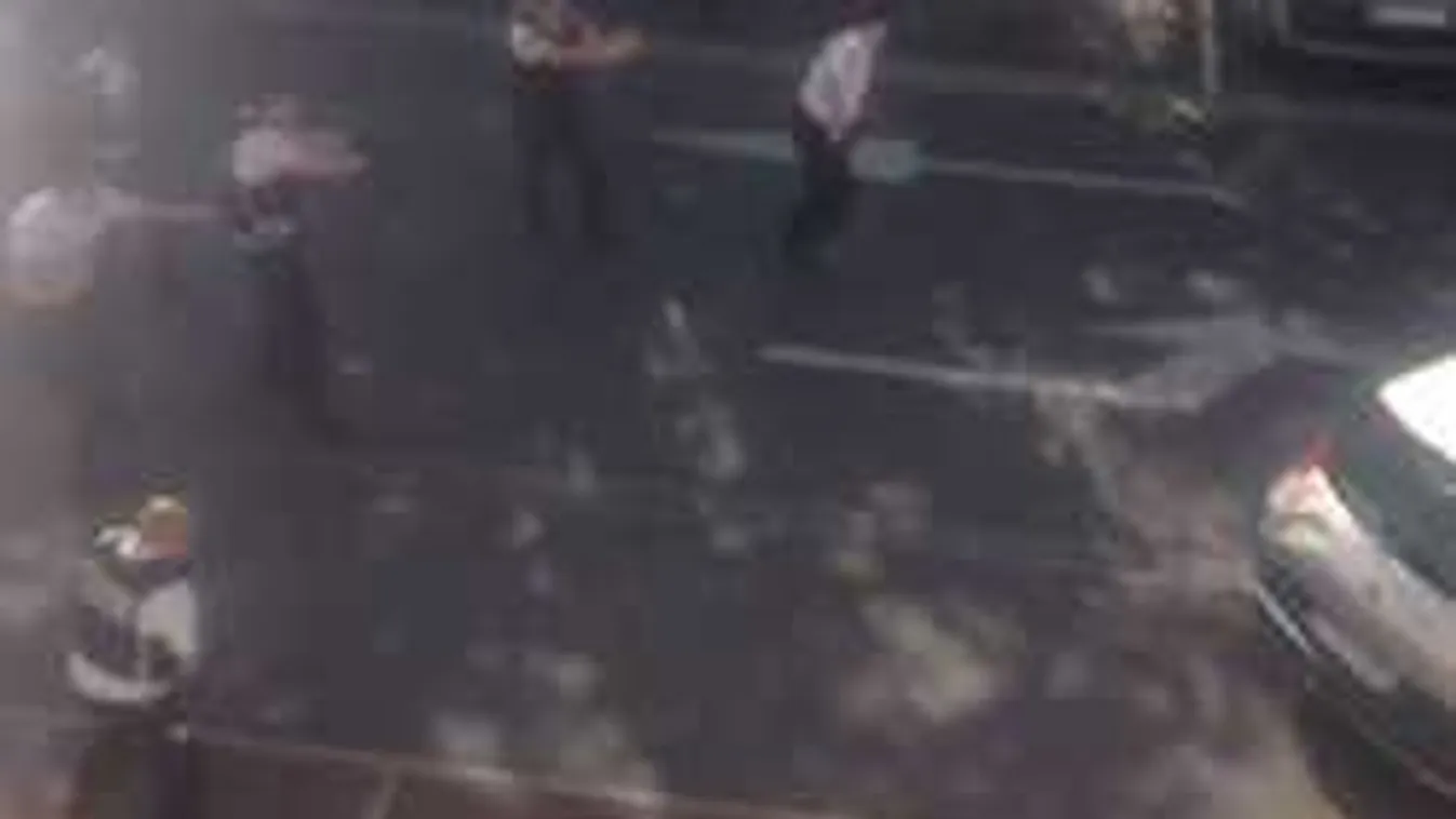 Tüzet nyitottak a rendőrök: lelőttek egy férfit az autójában - videó