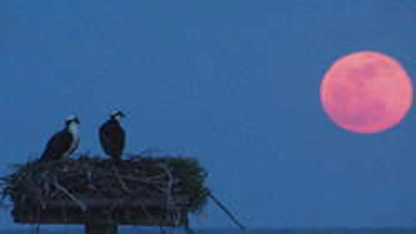 Különösen ritka, bizarr égi jelenség tanúi lehetünk ma éjjel