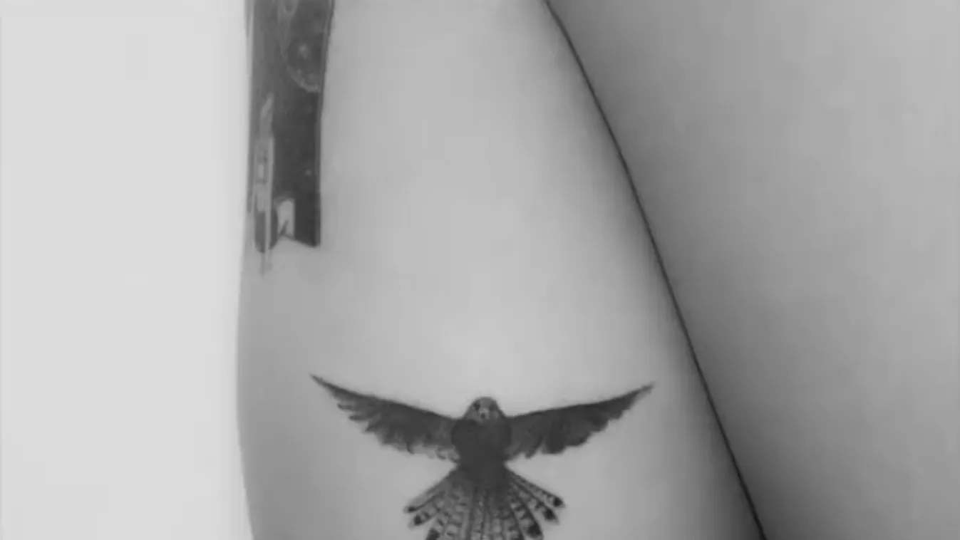 A világ legvagányabb tetoválását alkotta meg egy magyar művész