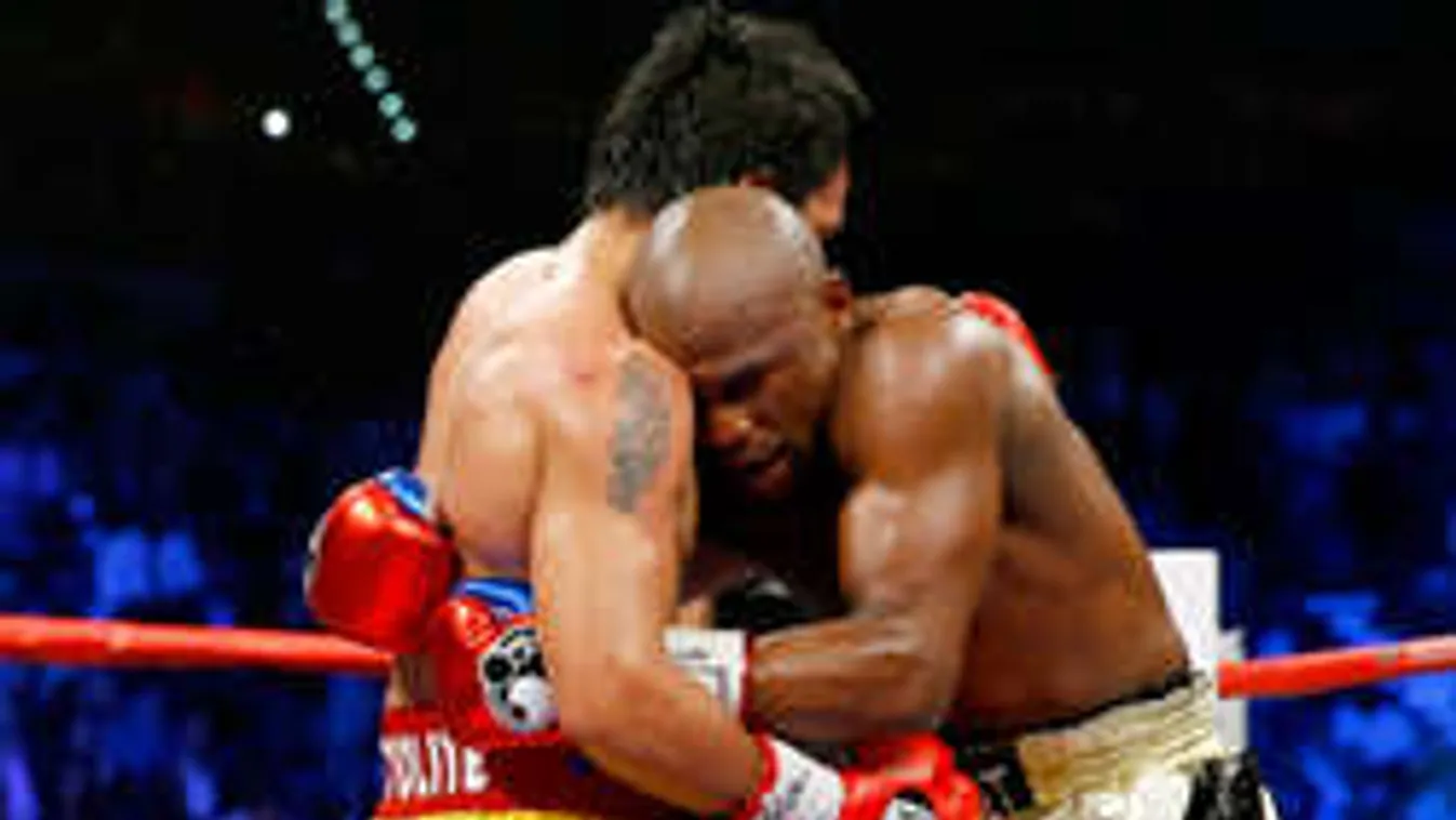 Leverték a bunyósok a teljes celebvilágot