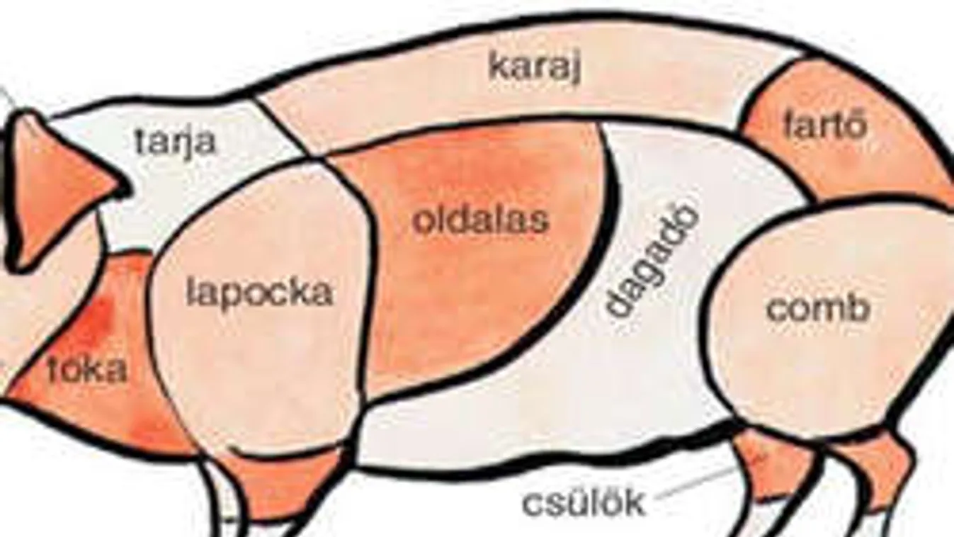 Itt az 5% áfás NAV-disznó, ne hagyd átvágni magad!