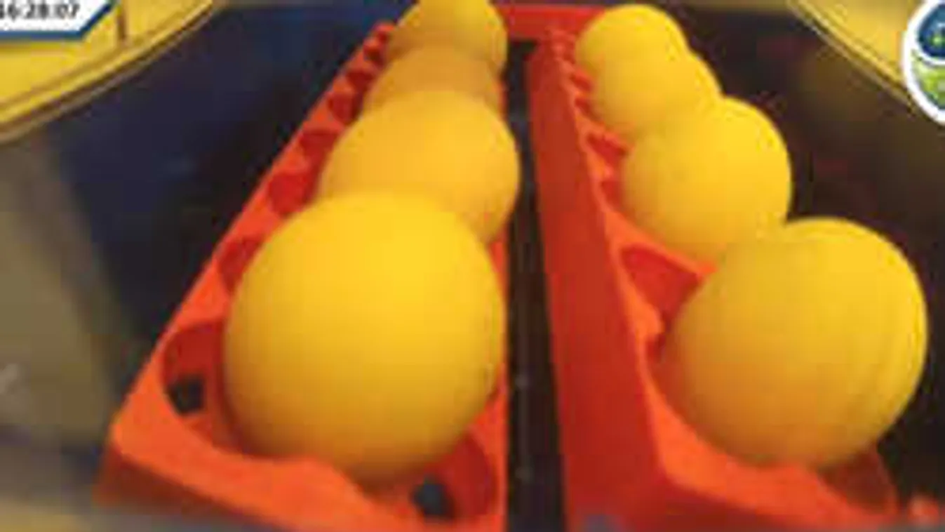 Hihetetlenül vicces túlélőshow indult, 24 órában online nézhető