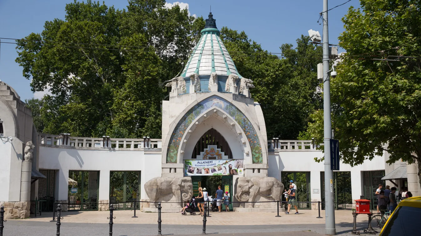 Ennél cukibb ma nem lesz: okos játékokkal ünnepeltek az Állatkert lakói-videó