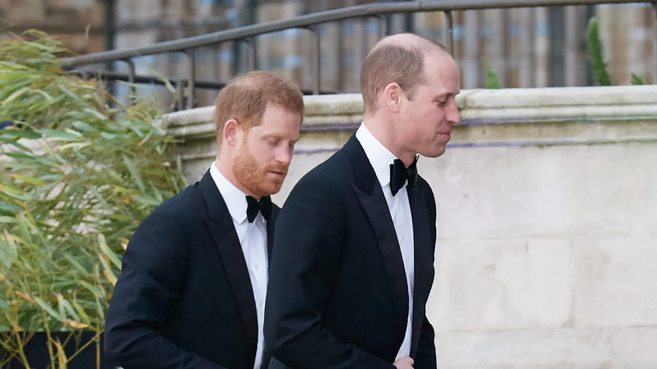 Our Planet - TV World Premiere