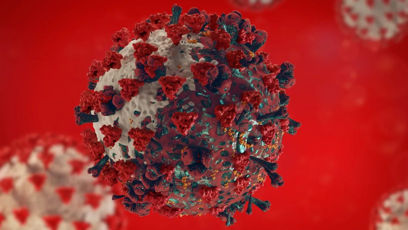 A karácsony előtti hajvágás lett a veszte egy középkorú házaspárnak