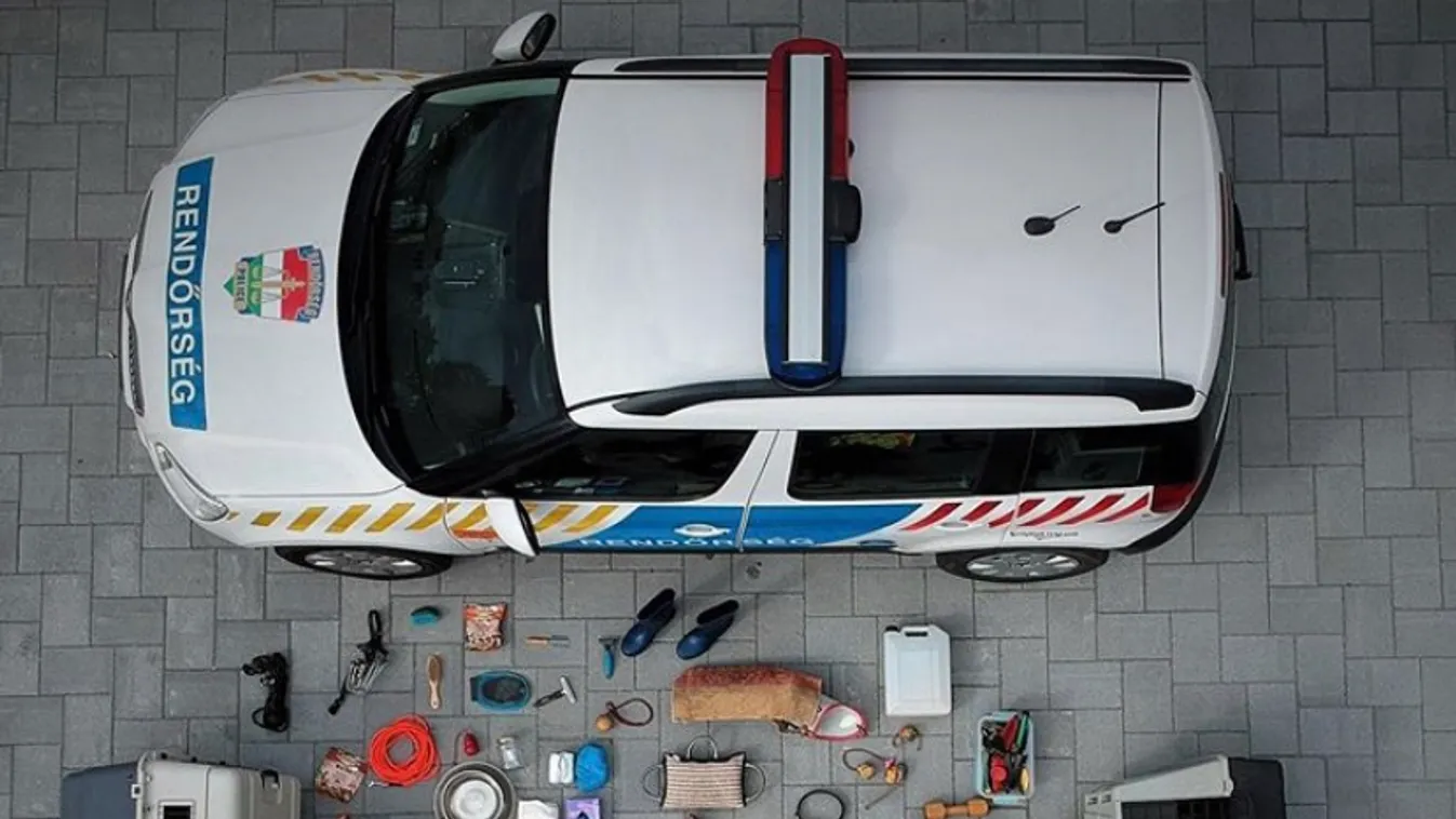 Elképesztő, ahogy a kutyákkal pózolt egy magyar rendőrnő