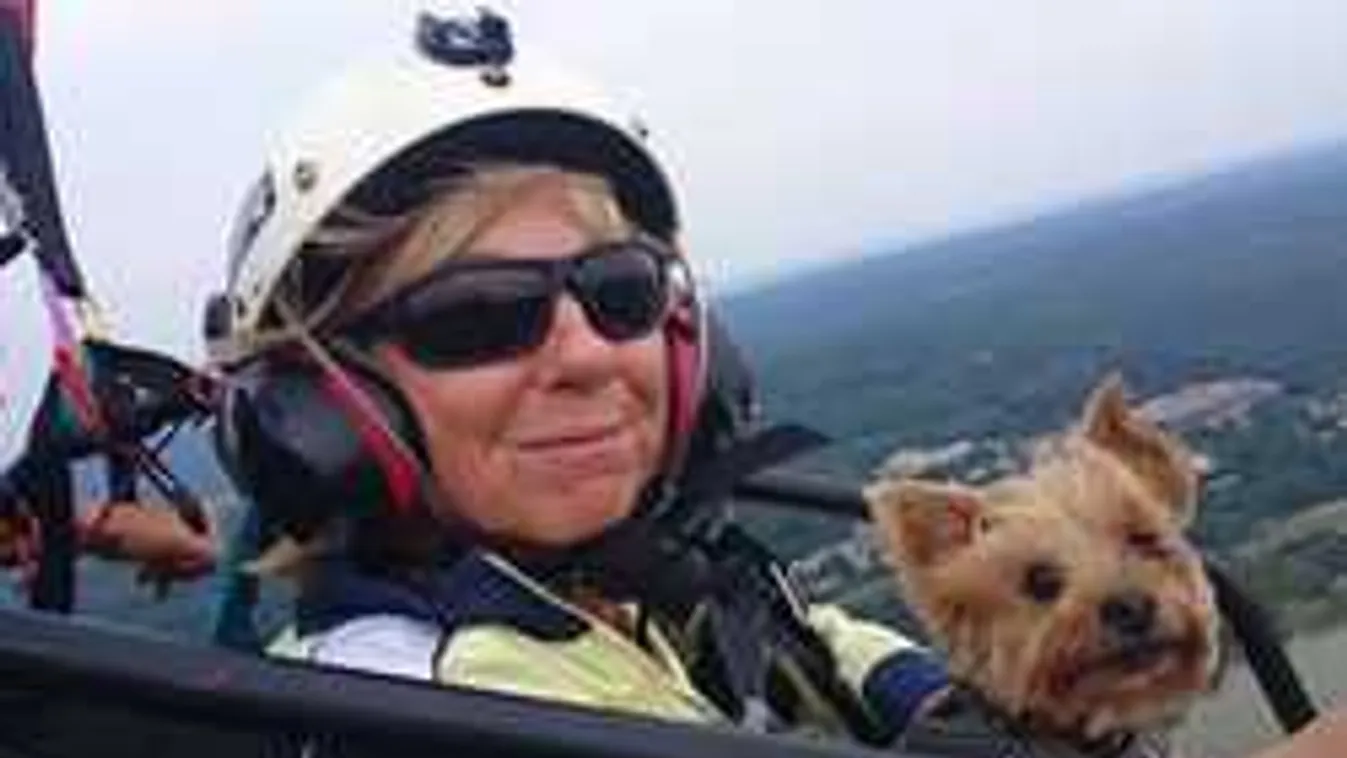 Elképesztő felvétel! Ezt csinálták egy kutyával Gödöllőn - videó