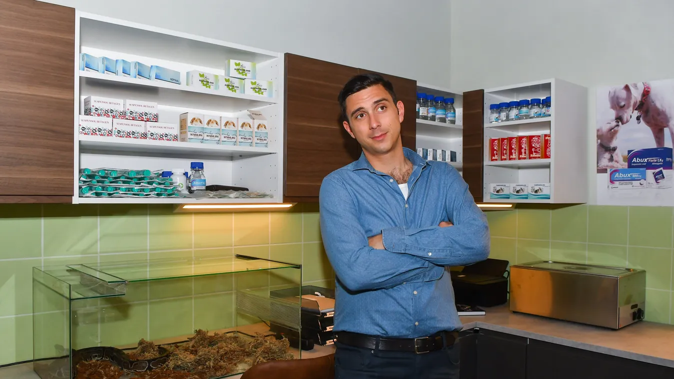 Kiderült, melyik magyar hírességgel bővül a Mintaapák