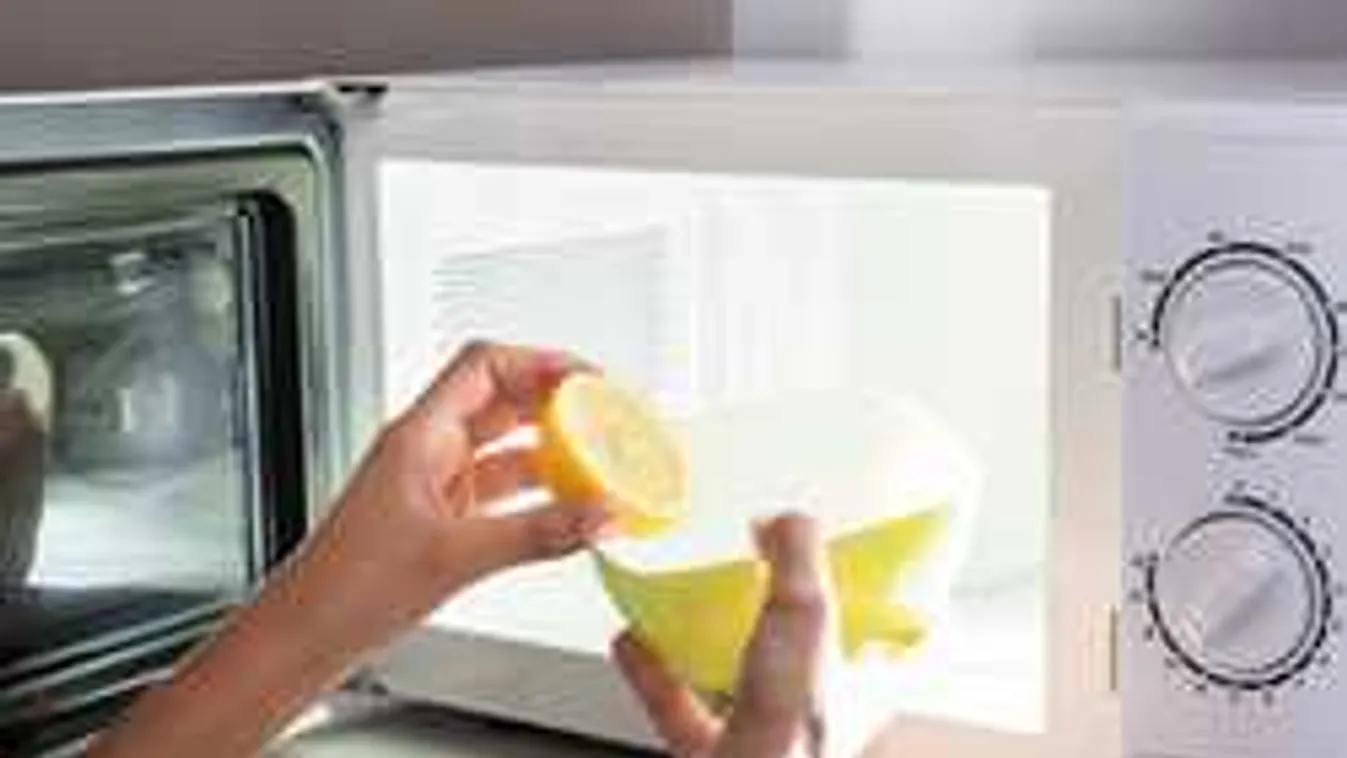 Tedd a citromot a mikróba és megdöbbensz!