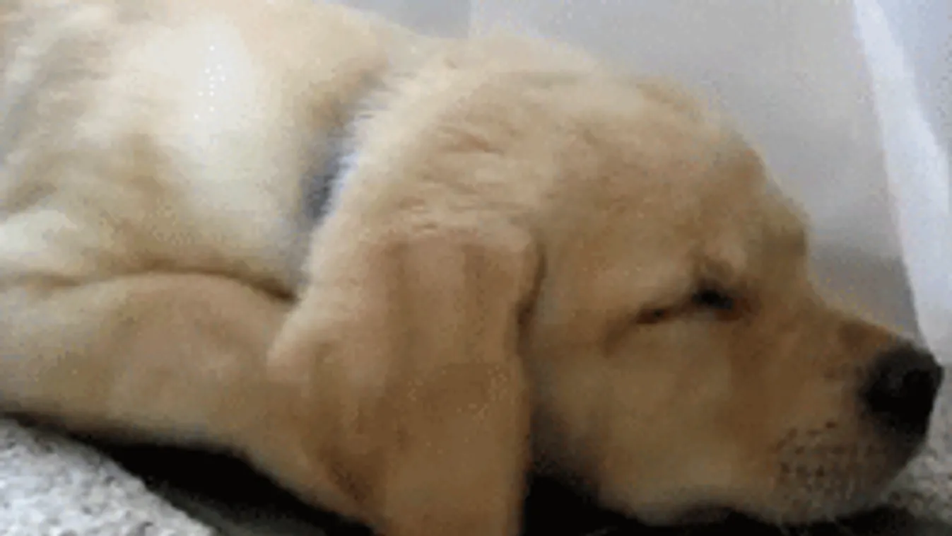 Nehéz elhinni, de holnap visszatér a hőség