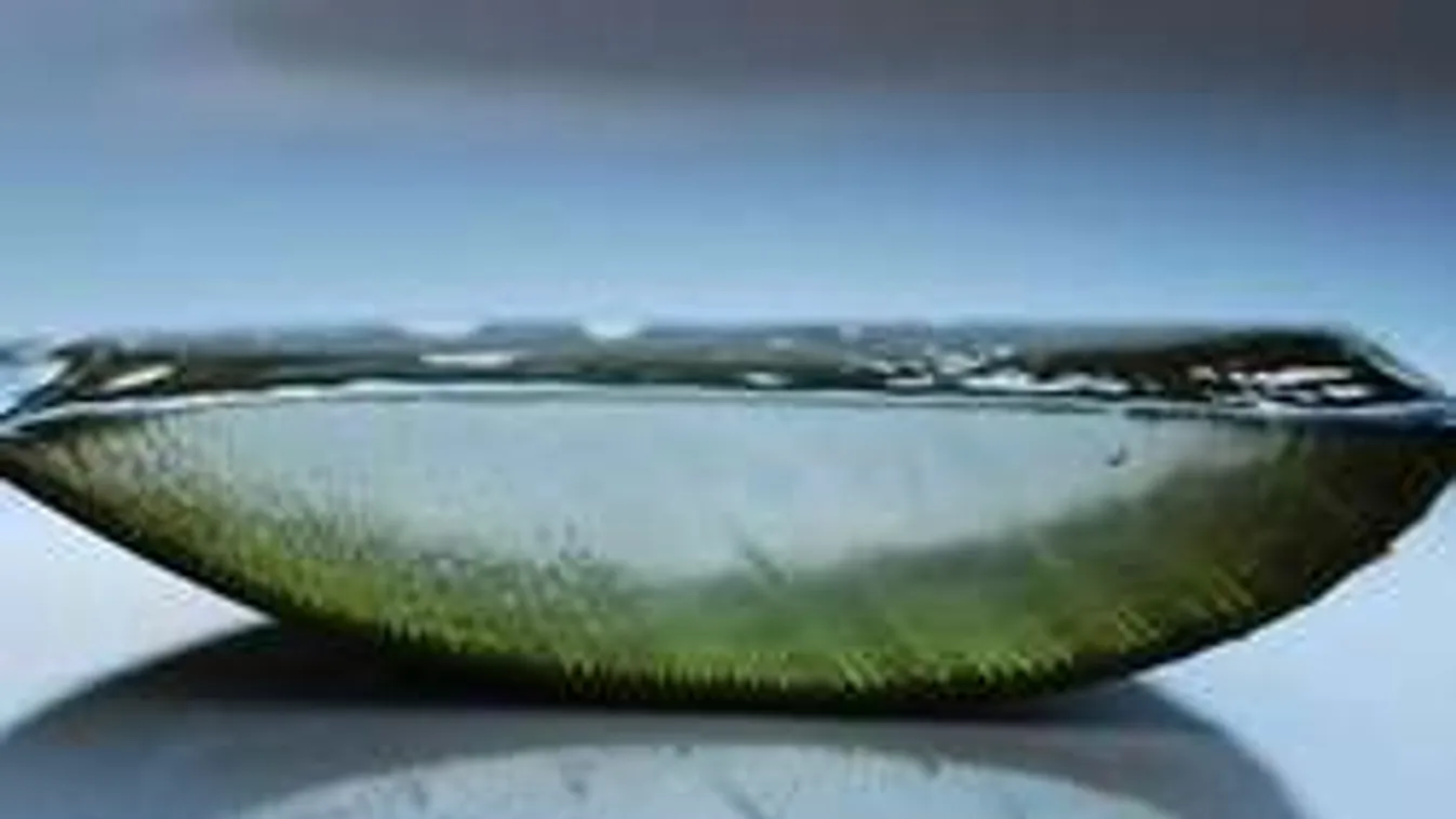 Fiatalít és gyógyít ez az egyszerű szobanövény! Gondoznod sem kell