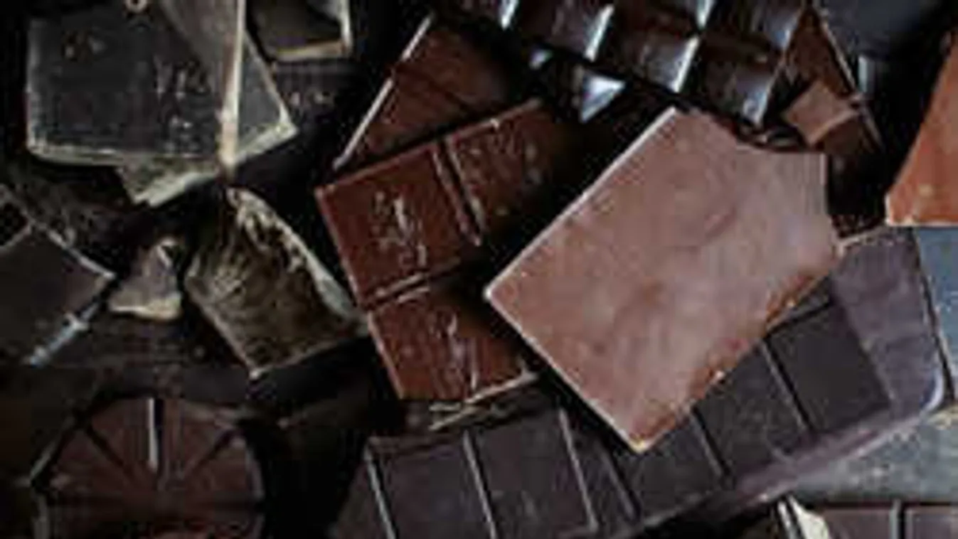 Akár te is jelentkezhetsz a világ egyik legjobb munkájára!