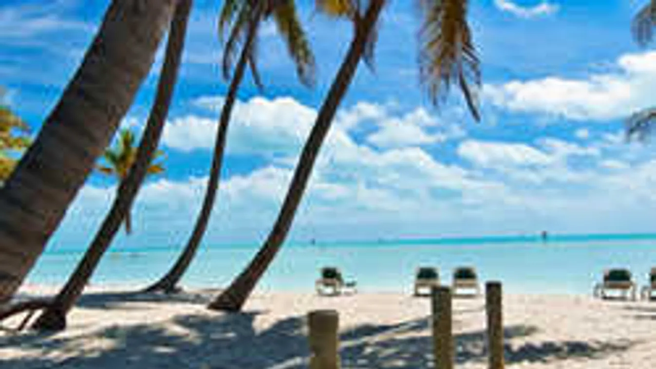 Nagyon durva, mi történt az apukával, aki bement a tengerbe fürödni