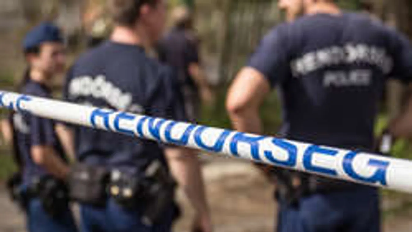 Testőrök védik a lúggal leöntött Erikát egykori támadójától!